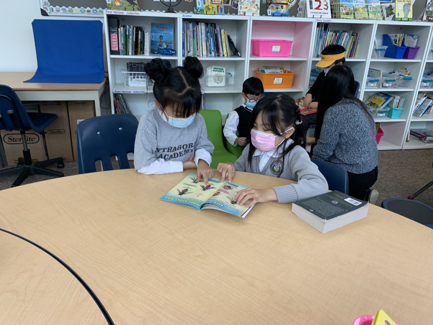 Library or Literacy Activity